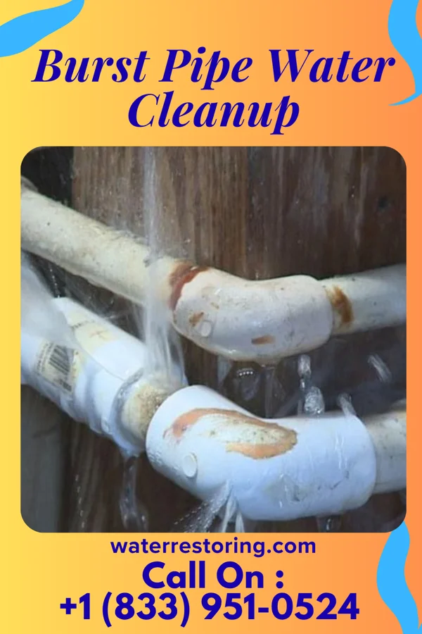 Burst Pipe Water Cleanup in Industry, PA