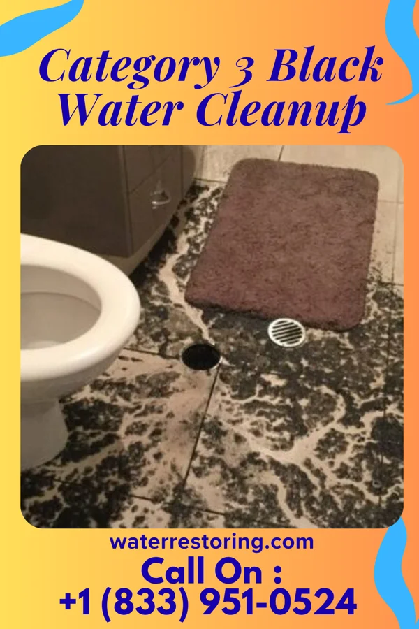 Category 3 Black Water Cleanup in Industry, PA