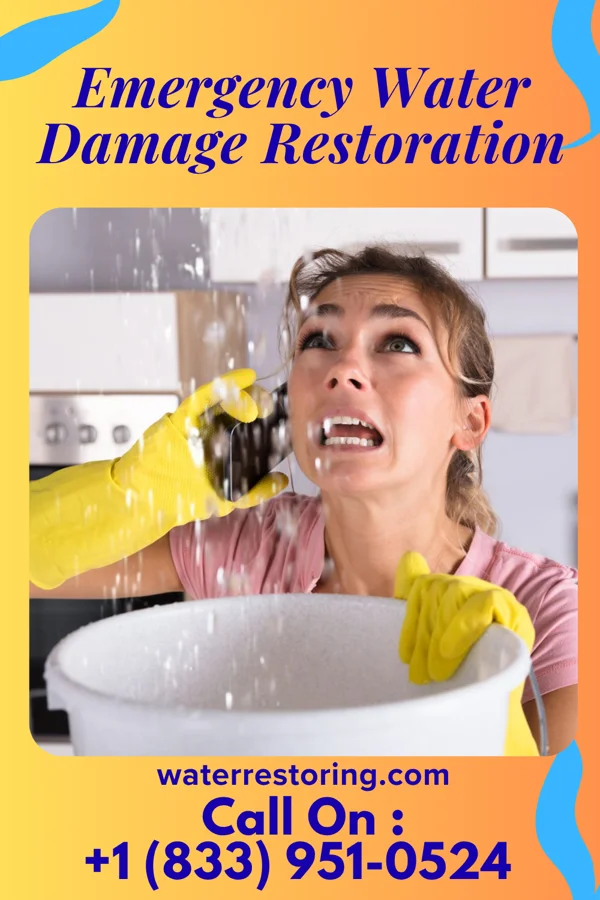 Emergency Water Damage Restoration in Industry, PA