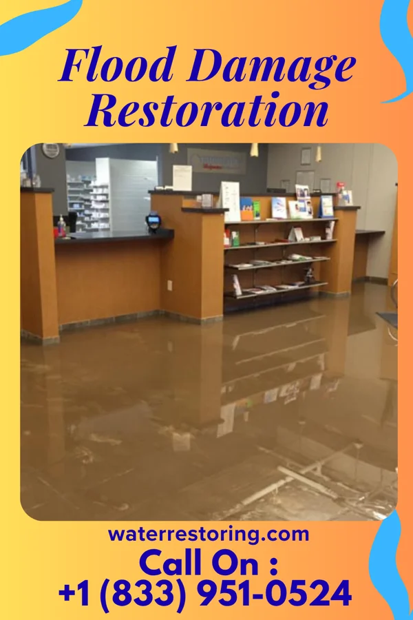 Flood Damage Restoration in Industry, PA
