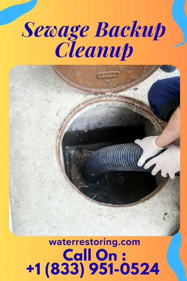 Sewage Backup Cleanup in Industry, PA