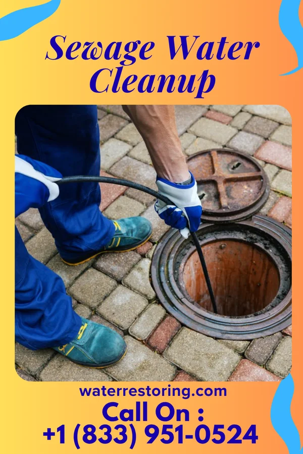 Sewage Water Cleanup in Industry, PA