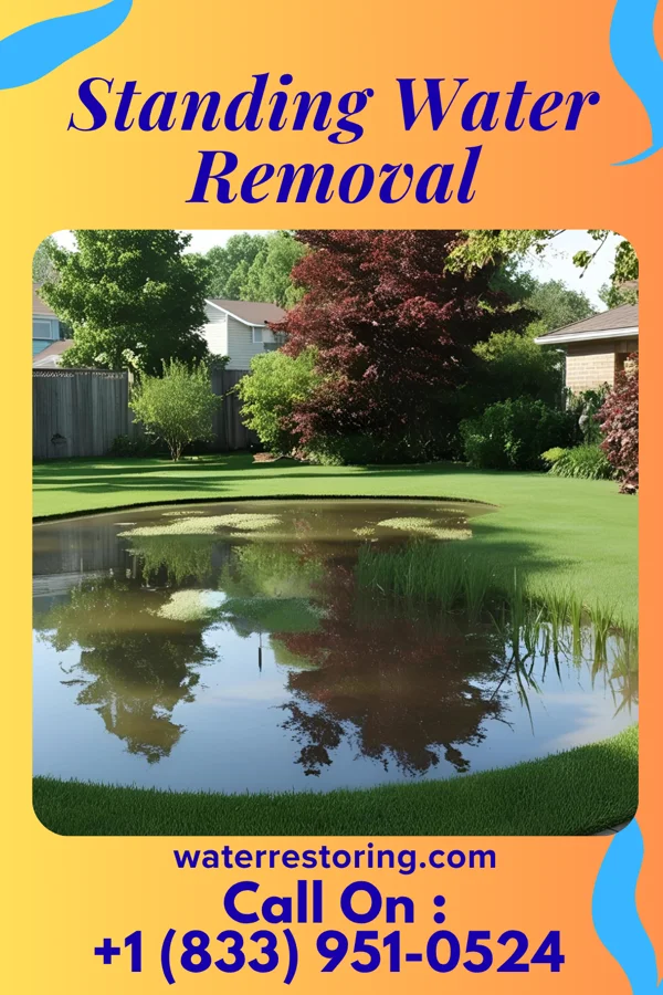 Standing Water Removal in Industry, PA